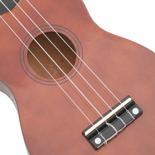 Set ukulelea Soprano s futrolom za djecu Natural 21 &amp;quot; Slike