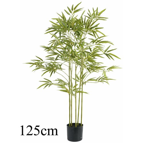 Lilium dekorativni bambus 125cm 567290 Cene