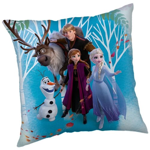 Jerry Fabrics Dječji jastuk od flisa Frozen "Family" – Cene