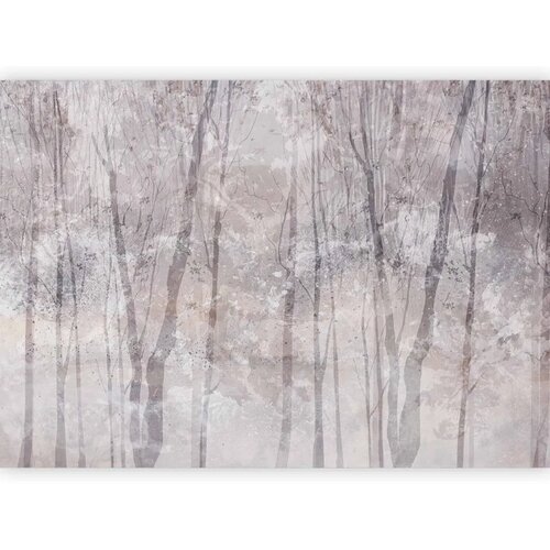  Foto tapeta - Eternal forest - landscape with winter landscape in cool colours 350x256 Slike