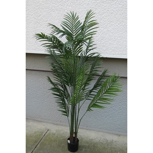 Lilium vestačko drvo areka palma 210cm GKN110093 Slike