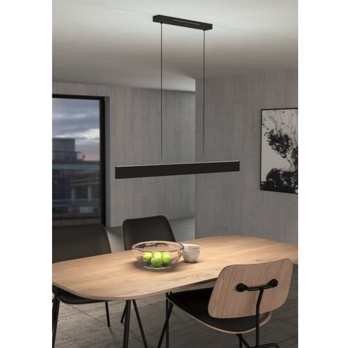 Eglo 31433 - led rgbw prigu&amp;scaron;iva luster na sajli andreas-z LED/38W/230V crna Slike