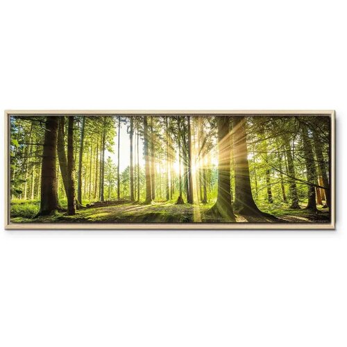  Slika - Daylight 120x40 U prirodnom drvenom okviru Slike