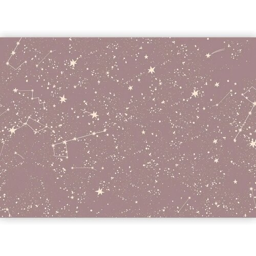  Foto tapeta - Night Sky - Artistic Constellations and Stars in Pastel Shades 490x350 Samoljepljiva Cene