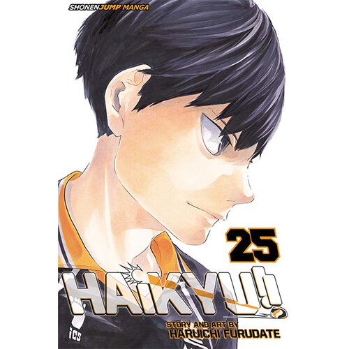 VIZ Media Haikyu!!, Vol. 25 Cene