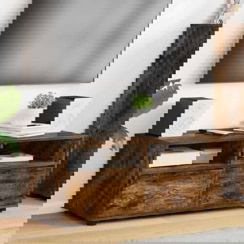 TV ormar Dimljeni hrast 100 x 48 x 43 cm Konstruirano drvo Cijene