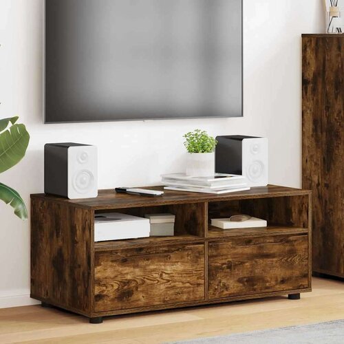 TV omarica Dimljeni oreh 100 x 48 x 43 cm Konstruiran les, (5000113016) Cene