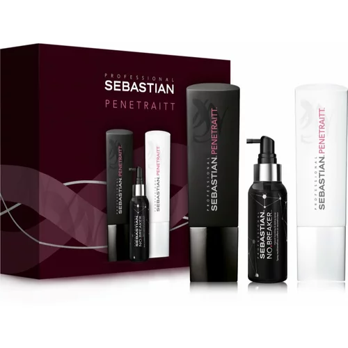 Sebastian Professional Penetraitt darilni set (za poškodovane in kemično obdelane lase)