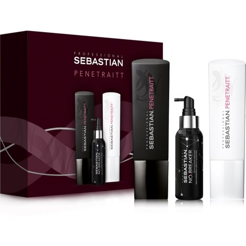 Sebastian Professional Penetraitt poklon set (za oštećenu, kemijski tretiranu kosu) Cijene
