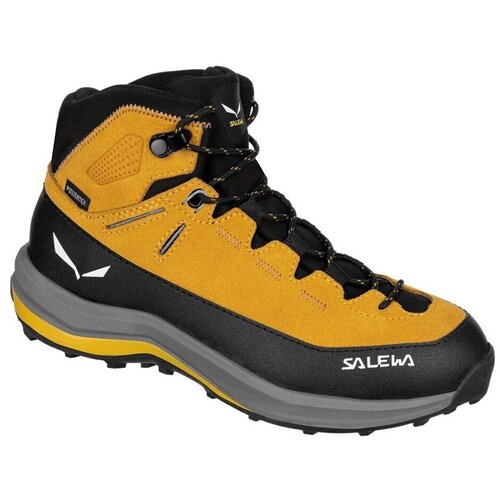 Salewa Pohodništvo Mtn Trainer 2 Mid Ptx pisana Cene