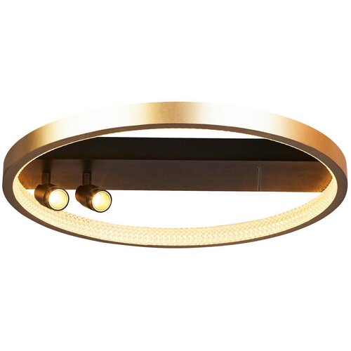 XXXL STROPNA LED-SVETILKA Grace 37.8 W/1363 lm/2700 K/220-240 V/ Slike