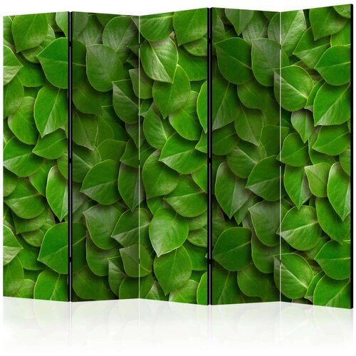  Paravan u 5 dijelova - Secret Garden II [Room Dividers] 225x172 Slike