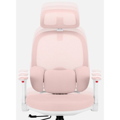  Dječja okretna stolica Junior 6.3 Pink Slike