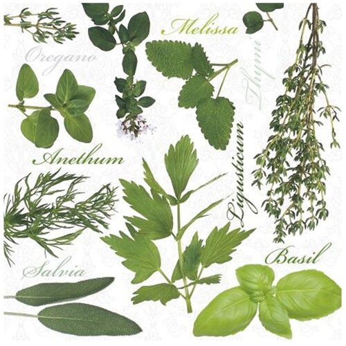  Serviete za decoupage Herbs - 1 kos (Serviete za decoupage) Cene