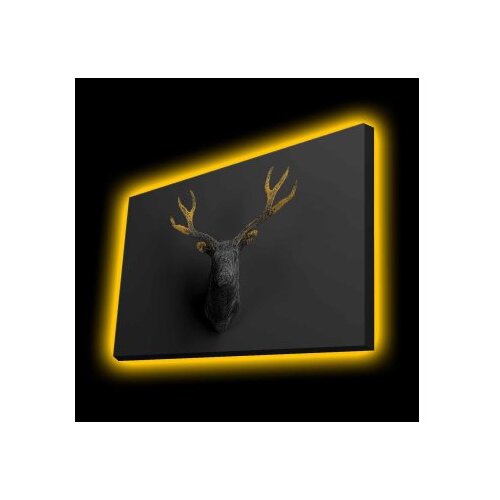 Wallity Zidna slika sa LED osvetljenjem 4570KTLGDACT - 007, 45x70 cm Slike