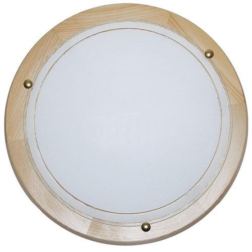  top light 5502/30/SD - plafonska svetiljka 1xE27/60W/230V Cene