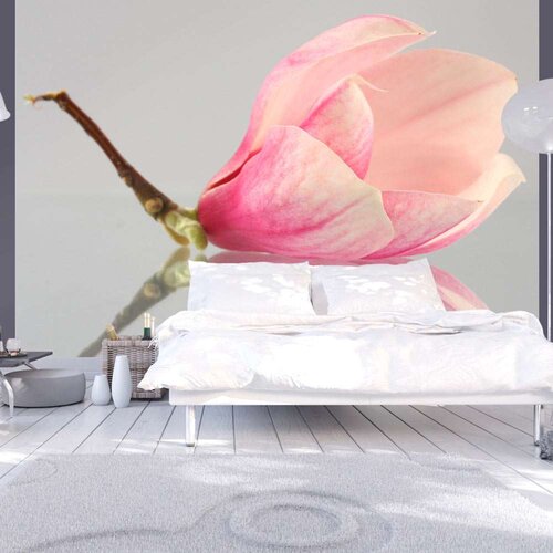  Tapeta - A lonely magnolia flower 200x154 Slike