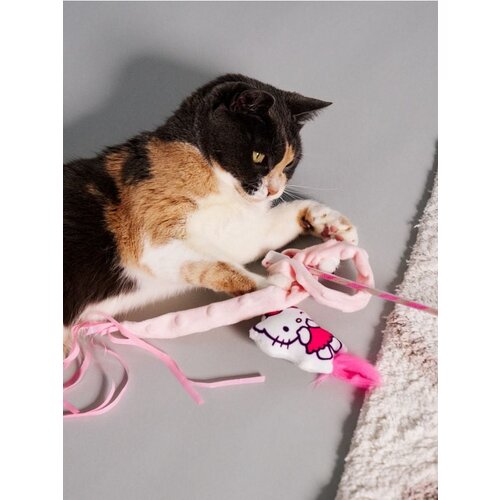 Sinsay Igračka za mačku Hello Kitty Cijene