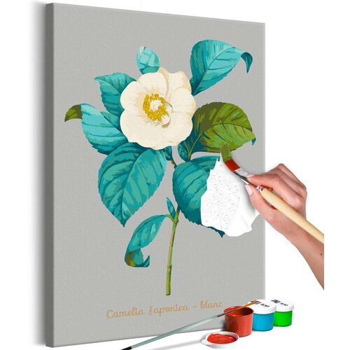  Slika za samostalno slikanje - Beautiful Camellia 40x60 Cijene