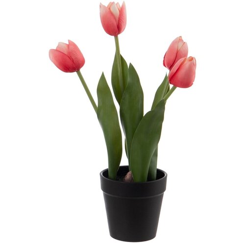 Ixia Umetna rastlina (vi&amp;scaron;ina 31 cm) Tulips &amp;ndash; Slike