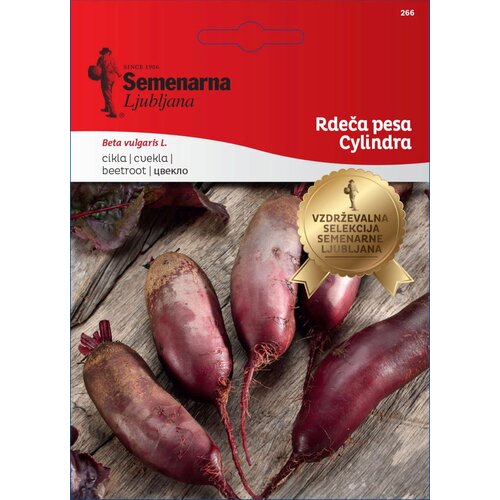  Rdeča pesa "Cylindra" - 10 g Cene