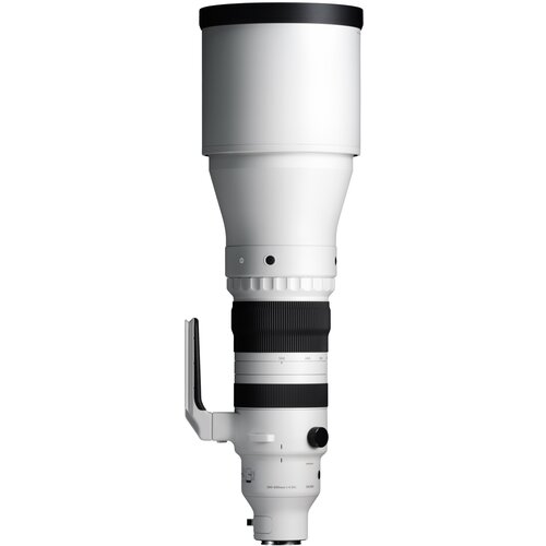 Sigma 300-600mm 4.0 DG OS Sony F/SE Contemporary-Serie Cene