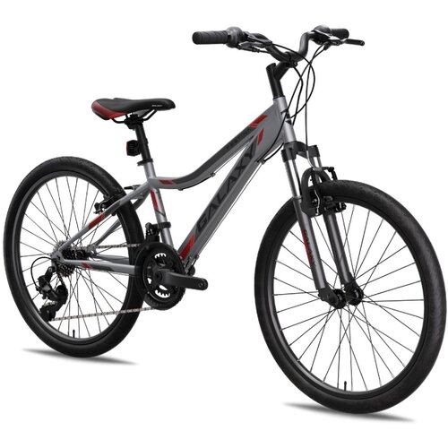 Galaxy Bicikl FESTINA 24&amp;quot; FS siva/crvena mat Slike