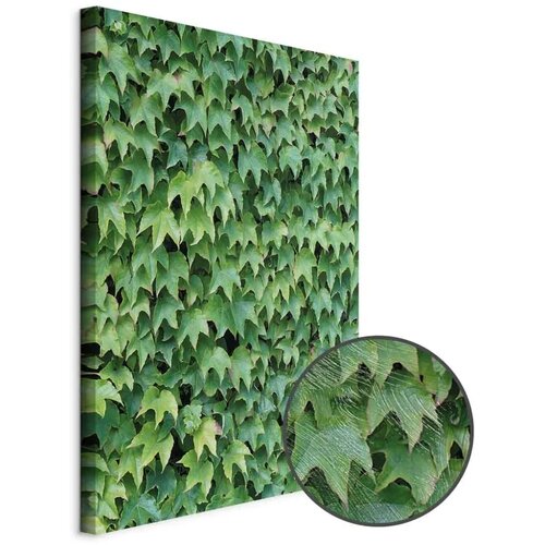  Slika - Thick Ivy (1 Part) Vertical 20x30 Cijene