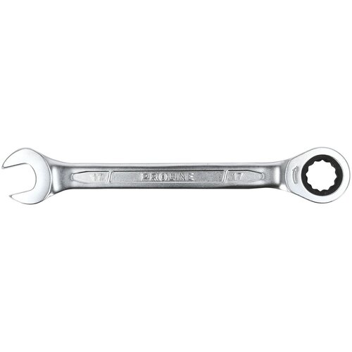 Proline kombinirani ključ s račnom 10 mm 35132 Slike