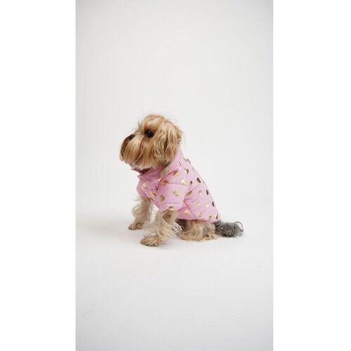 Paws &amp; Whiskers Amour Kaput - Roze Pas Hoodie Cene