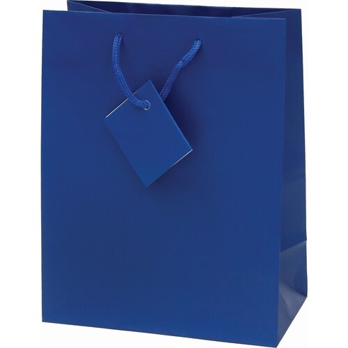  Vrečka darilna plast. mat a5 22,9x9,8x17,8 PROMOCIJA - MODRA Cene
