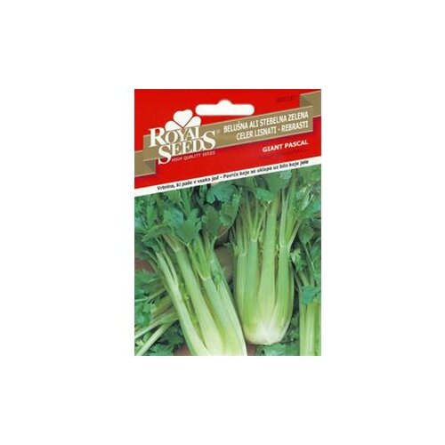  Celer lisnati Giant Pascal Royal Seeds Cijene