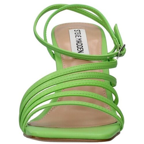 Steve Madden Sandali & Odprti čevlji SMSALLIN Zelena Cene