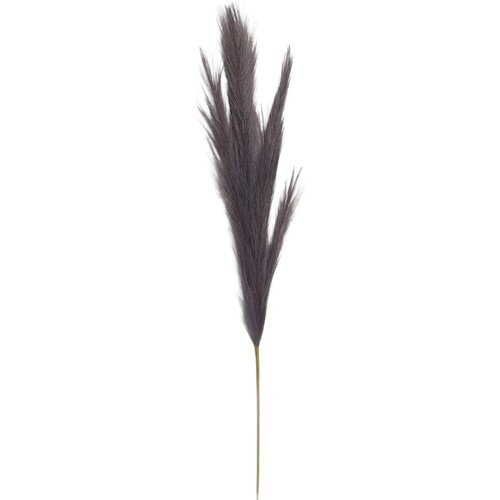  Rezano cvijeće grana pampas 110 cm 63450830 Slike
