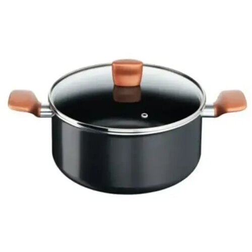 Tefal lonac express sa poklopcem 24 cm - B2554602 Slike