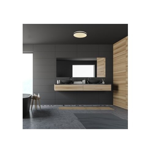 Rabalux plafonjera led 18W slava 1916918 Slike