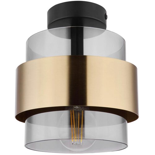 Globo Stropna lampa 1xE27 60W MILLEY Slike