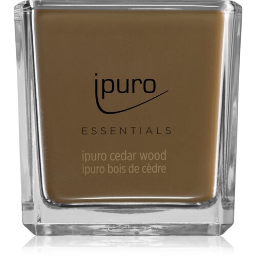 IPURO Di&amp;scaron;eča sveča Ipuro ESSENTIALS Cedar Wood (125 g) Slike