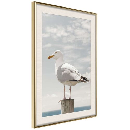  Poster - Curious Seagull 30x45 Slike