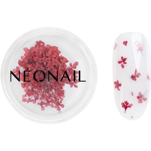 NeoNail Dried Flowers sušen cvet za nohte odtenek 08 Red 1 kos Cene