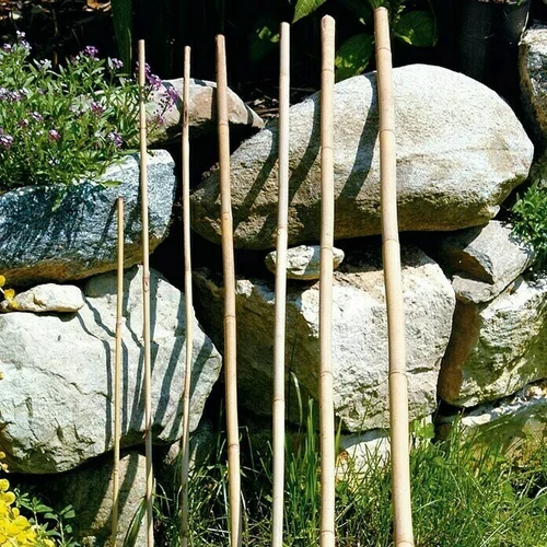 BELLISSA Štap od bambusa (150 cm)