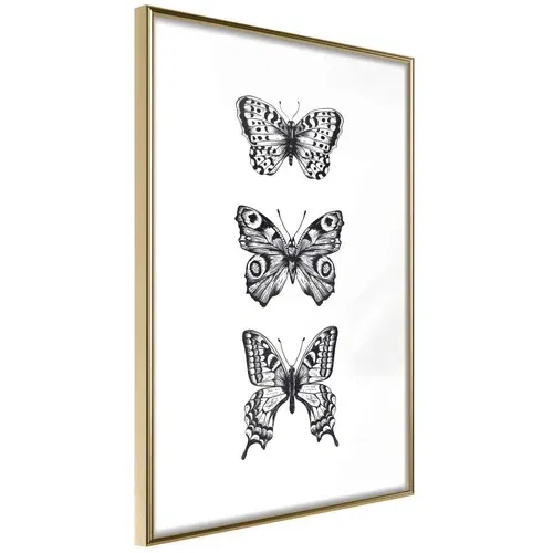  Poster - Butterfly Collection III 20x30