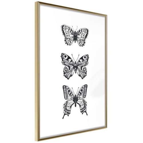  Poster - Butterfly Collection III 20x30 Cene