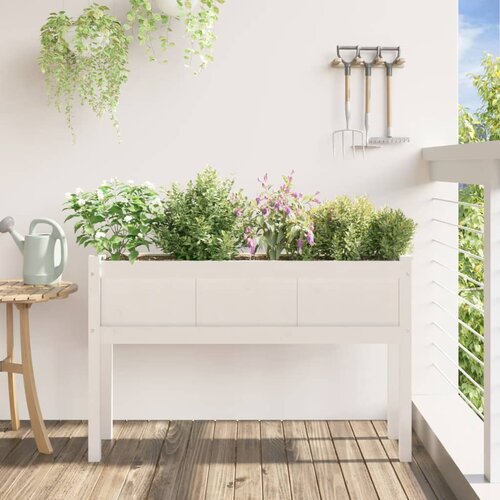  Vrtna sadilica s nogama bijela 110x31x70 cm od masivne borovine Slike