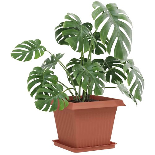  Saksije za biljke 6 pcs Crvena cigla 43 x 43 x 33,5 cm Plastika Slike