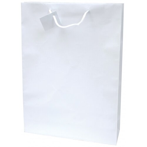  Vrečka darilna 330x457x102 platificirana mat promocija - bela Cene