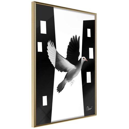  Poster - Caught in Flight 30x45 Slike