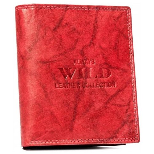 Always Wild AWN890MAL73648 sarena Slike