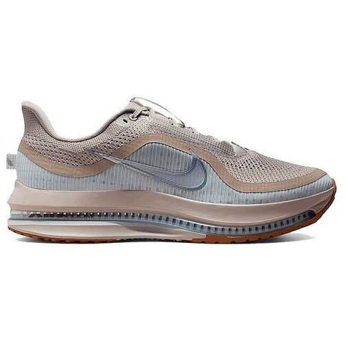 Nike Nizke superge Pegasus pisana Slike