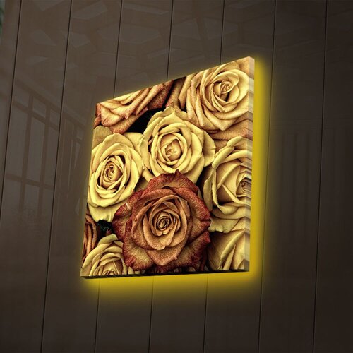 Wallity Zidna slika sa LED osvetljenjem 4040DACT-47, 40x40 cm Cene